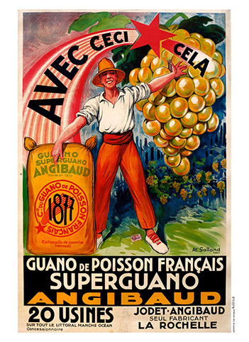 Guano de Poisson Français