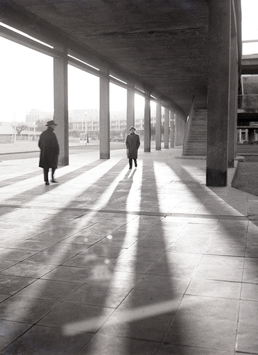 Matin d'hiver sous le portique